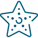 Starfish icon